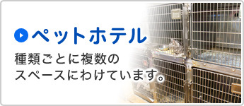 ペットホテル