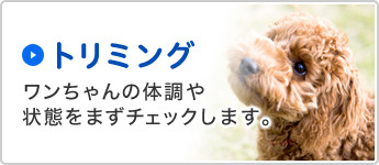 トリミング