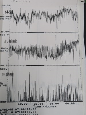 １１