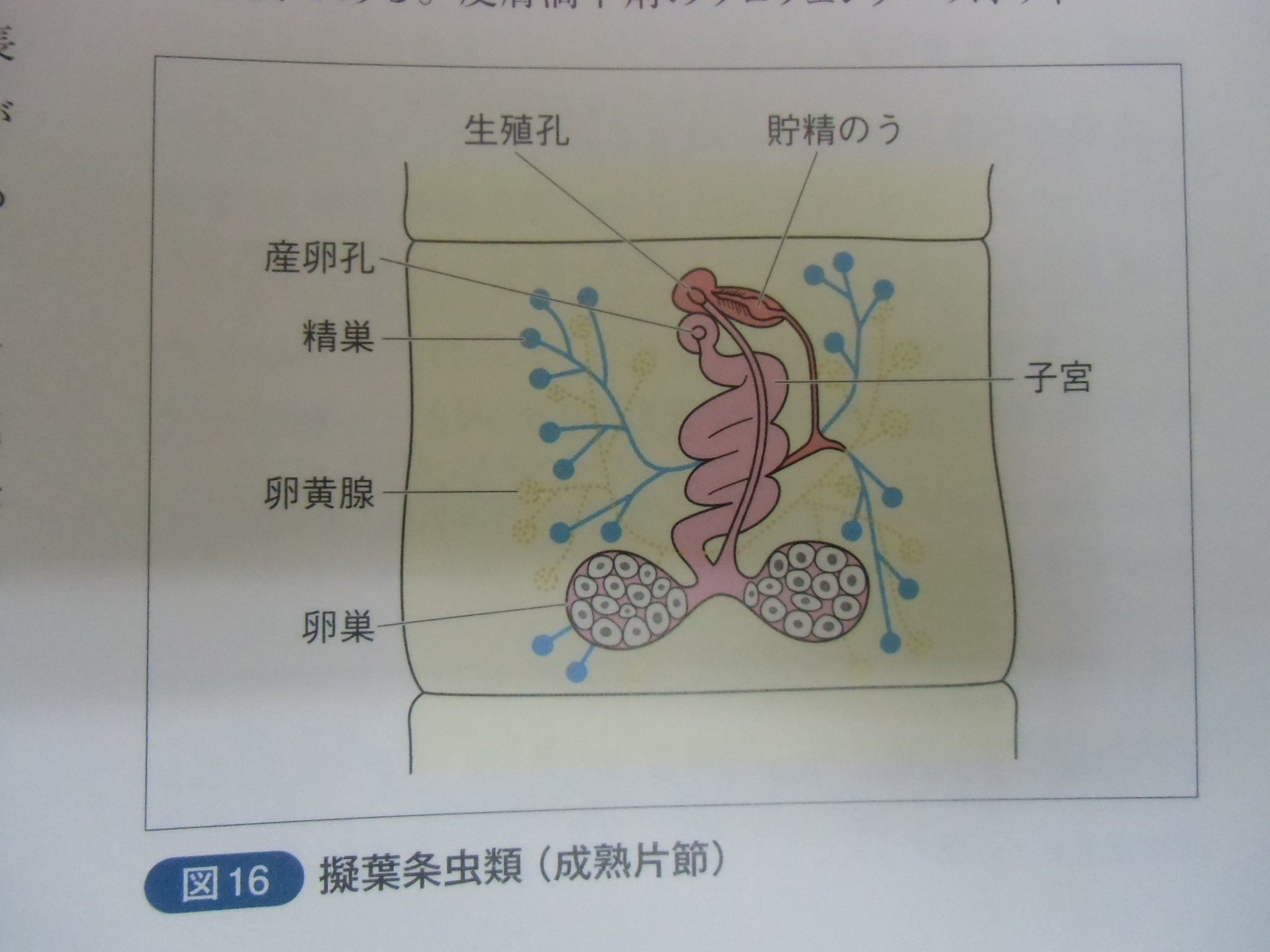 あ