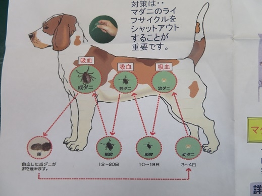 あ