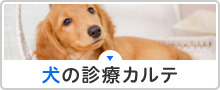 犬の診療カルテ