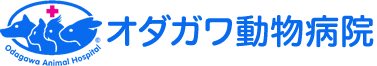 オダガワ動物病院